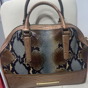 Brahmin Hudson Brown and Black Snake Print Satchel